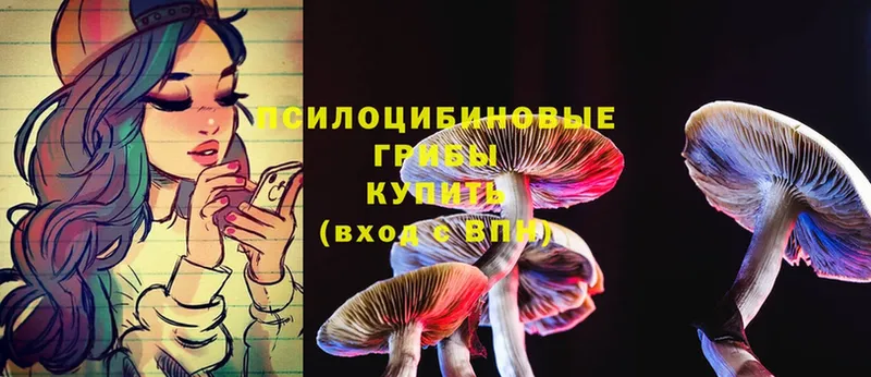 Галлюциногенные грибы Psilocybe  купить   OMG сайт  Мариинский Посад 